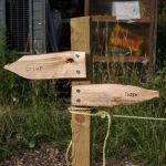 wooden signpost facing in two directions: "grief and hope"