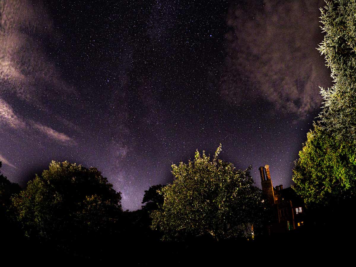 view of night sky with thousands of stars framed by trees and roof of a country house